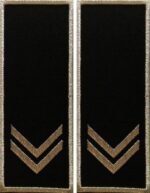 Grade Functionar Public Superior Politia Locala